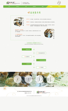 返林散養(yǎng)雞網(wǎng)頁設計效果圖